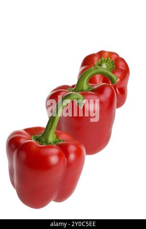 Three red bell pepper s in a row isolated on white Stock Photo