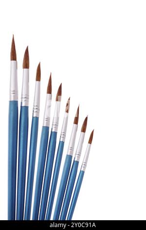 Nine blue paintbrushes isolated on white background Stock Photo