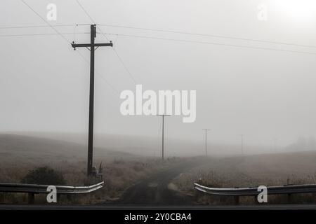 A photo of an early morning filled with fog at a country road in eastern Washington Stock Photo