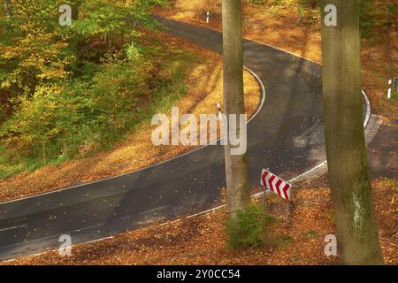 Sun illuminates a winding road leading through an autumnal forest with colourful foliage and tall trees, Altenbuch, Miltenberg district, Spessart, Bav Stock Photo