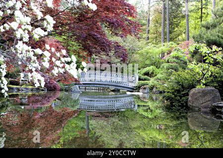 The reflection of the stone oriental style bridge in the Japanese Gardens in Manito Park Stock Photo