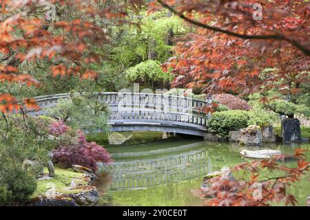 The reflection of the stone oriental style bridge in the Japanese Gardens in Manito Park Stock Photo