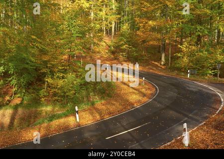 Sun illuminates a winding road leading through an autumnal forest with colourful foliage and tall trees, Altenbuch, Miltenberg district, Spessart, Bav Stock Photo