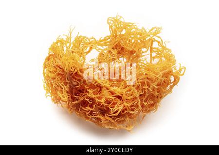 Irish sea moss. Chondrus Crispus, healthy organic raw seaweed, a close-up on a white background, isolated, Food photography Stock Photo