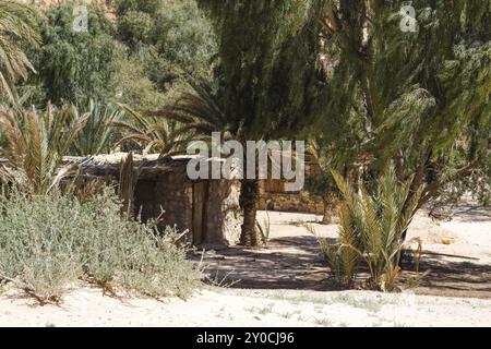 Dwelling bedouin in an oasis in the desert among the mountains in Egypt Dahab South Sinai Stock Photo