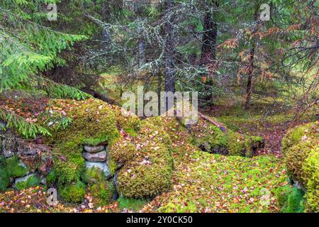 Stone cairn in a spruce forest covered with green moss Stock Photo