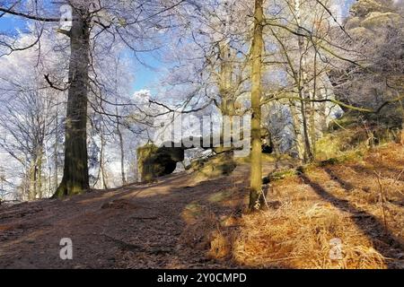 Wanderweg im Elbsandsteingebirge, Wanderweg im Elbsandsteingebirge im Herbst Stock Photo