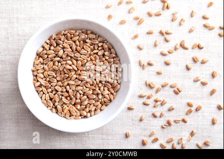 Common wheat kernels, bread wheat in a white bowl on linen fabric. Triticum aestivum, a grass widely cultivated for its seed, a cereal grain. Stock Photo