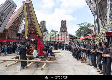 Men singing and dancing between traditional tana toraja houses for funeral ceremony to honour their ancestor, coffin in the middle, Sulawesi, Stock Photo