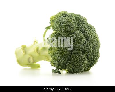Fresh broccoli isolated on white Stock Photo