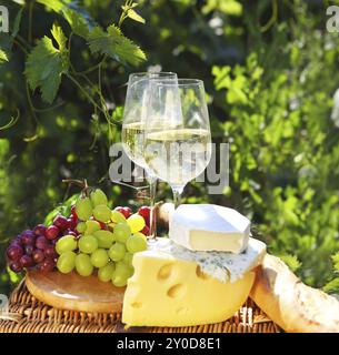 Various sorts of cheese, bread, grapes and two glasses of the white wine. In the vineyard Stock Photo