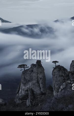 Monochrome photo of foggy mountain valley before sunrise. Demerdzhi area, Crimea, Ukraine, Europe Stock Photo