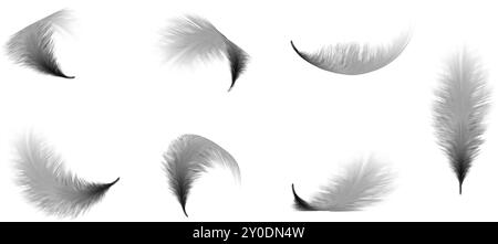 3d realistic illustration. Black fluffy bird feather in different twisted shapes. Flying closeup detailed feather. Stock Vector