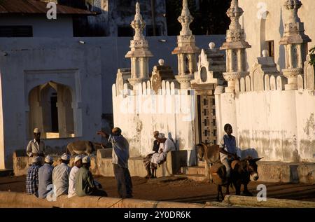 Lamu street scenes. Stock Photo