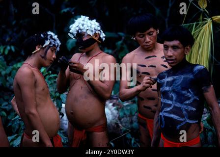 Yanomami Indian men painting their bodies and decorating their heads with vulture down in preparation for a feast.  In the Amazonian Forest in southern Venezuela. Stock Photo