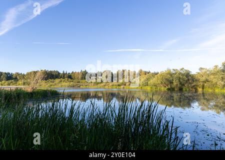Serene lake scene at Juanita Bay Park in Kirkland, WA Stock Photo