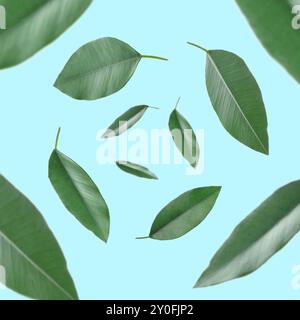 Green leaves whirling on light blue background, selective focus Stock Photo