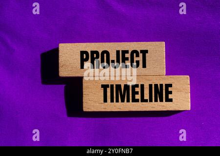 Project timeline message written on wooden blocks with purple background. Conceptual project timeline symbol. Copy space. Stock Photo