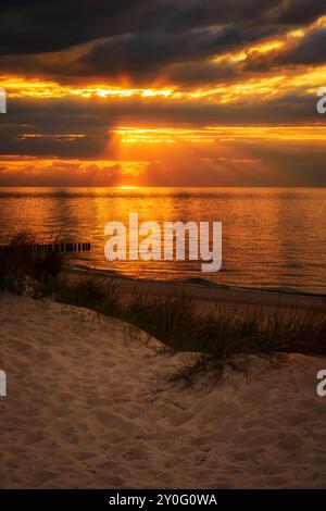 Baltic Sea dramatic landscape at golden sunset, beach near Dziwnow, Poland. Vertical layout Stock Photo