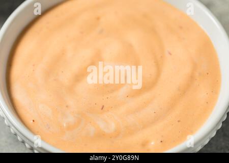 Homemade Spicy Chipotle Mayo Spread in a Bowl Stock Photo