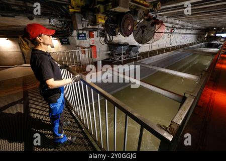 THE PARIS MUSEUM OF SEWERS Stock Photo