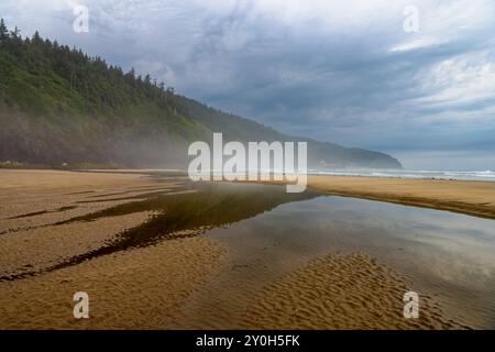 Tidal pools in early morning mist at Cape Lookout State Park, Oregon, USA Stock Photo