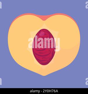 Fresh half Peach fruit vector. peach fruit icon. fresh juicy peach slice icon Stock Vector