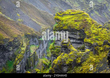 Rock formations covered with moss in Mulagljufur Canyon, spring, Iceland. Stock Photo