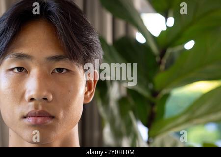 Close-up of young asian man with serious expression, green plant in background, copy space Stock Photo