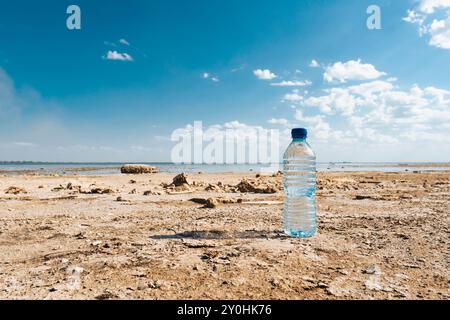 A bottle of water sits on the bottom of a dried-up lake on a sunny summer day. Concept of the problem of climate change, drought and drying Stock Photo