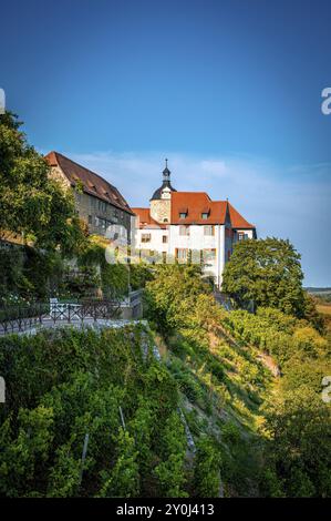 The old castle of the Dornburg castles on a wooded hill, surrounded by gardens and under a clear blue sky, Dornburg-Camburg, Thuringia, Germany, Europ Stock Photo