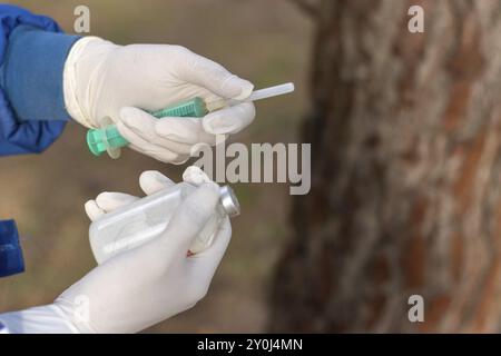 Image of a white-gloved veterinarian's hands holding a syringe and a bottle of vaccine before vaccinating farm animals Stock Photo