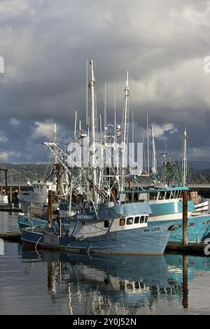 Commercial and private fishing boats docked at the historic bay front in Newport, Oregon Stock Photo