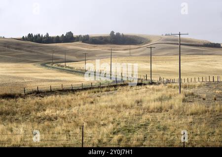 A winding country road cutting through the landscape of the palouse region in eastern Washington Stock Photo