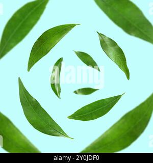 Green leaves whirling on light blue background, selective focus Stock Photo