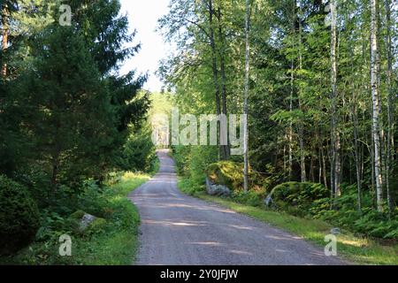 A country dirt road through forest near Loviisa in southern Finland in August 2024 Stock Photo