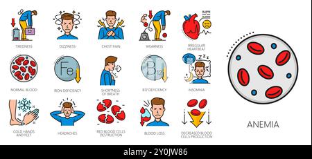 Hematology color line icons, anemia symptoms, disease of iron deficiency. Vector outline red blood cells laboratory test and anaemia symptoms signs. Hematology medicine isolated thin line symbols Stock Vector