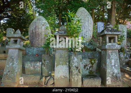 Genzui Kusaka's hair entombed Stock Photo