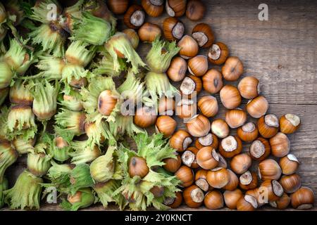 Fresh hazelnuts with green husks in wooden box. Unpeeled nuts top view Stock Photo