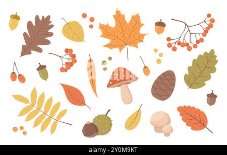 Set of autumn plant elements. Leaves, berries, mushrooms, acorns and chestnuts isolated on a white background. Flat vector illustration Stock Vector