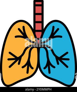 A cartoon drawing of a human lung with orange and blue sections. The drawing is colorful and playful, with a focus on the lungs and their branching st Stock Vector