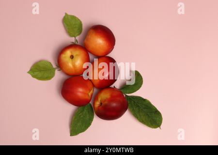 Ripe nectarines on a pink background with copy space. Flat lay, top view of fresh fruit on a table. Healthy eating concept. Stock Photo