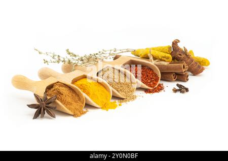 Various spices in spoon isolated on white background, cinnamon, turmeric, caraway, pepper flakes, galangal, anise, thyme Stock Photo