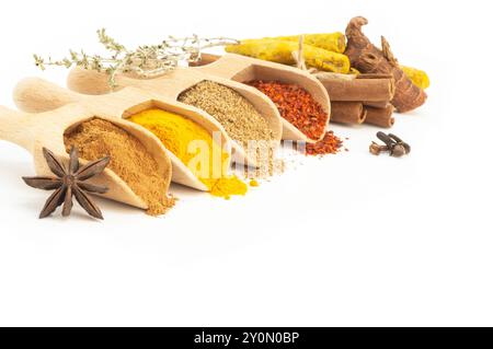 Various spices in spoon isolated on white background, cinnamon, turmeric, caraway, pepper flakes, galangal, anise, thyme Stock Photo