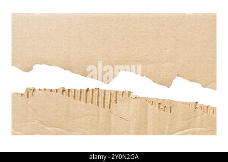 Torn corrugated cardboard piece revealing a textured edge and rough surface in natural light during daylight hours. Isolated Stock Photo