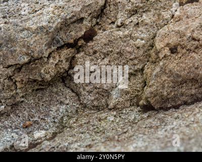 Macro photography of a rock, captured in a farm near the colonial town of Villa de Leyva in central Colombia. Stock Photo