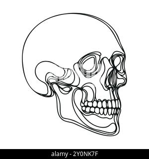 Human scull. One line continuous Halloween skull isolated on white ...