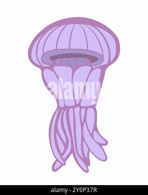 Vector isolated illustration of siphoid jellyfish on white background. Stock Vector