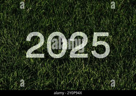 2025 in white number on green grass of football field, concept of new year Stock Photo