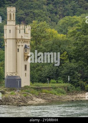 An old stone tower with Gothic elements stands on the riverbank in the middle of a wooded landscape, bingen, rhine, germany Stock Photo